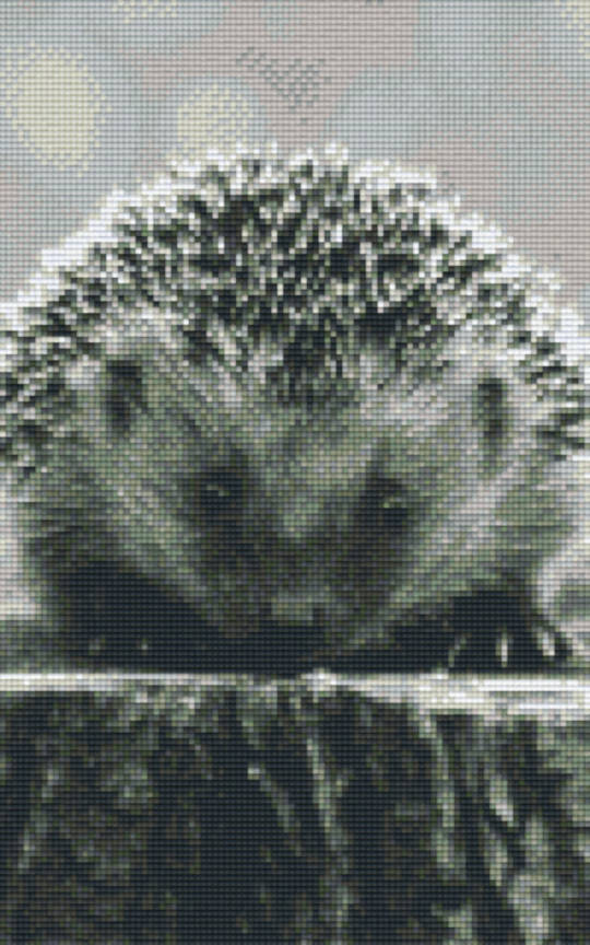 Hedgehog Eight [8] Baseplate PixelHobby Mini-mosaic Art Kit